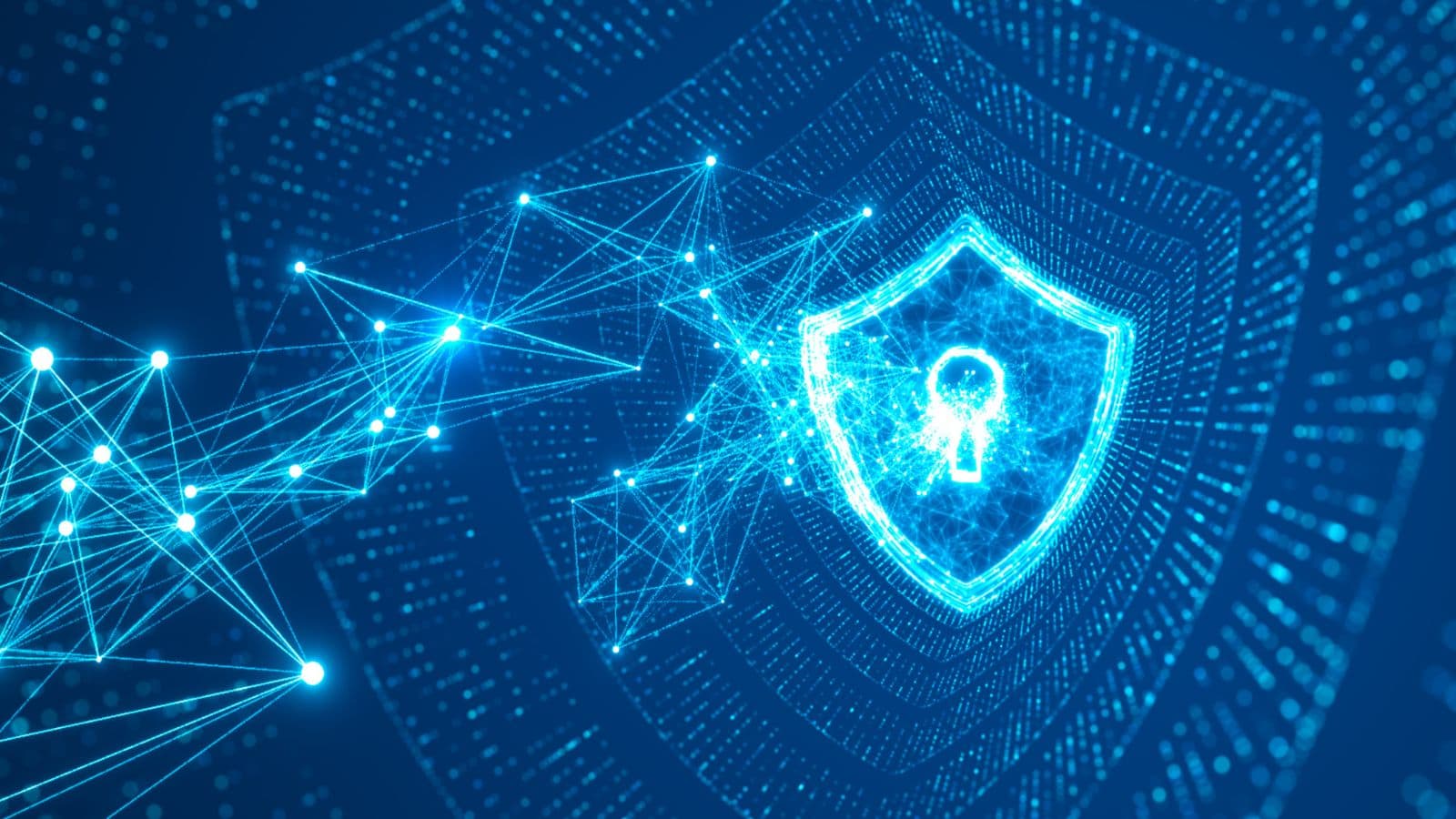 Data privacy shield
